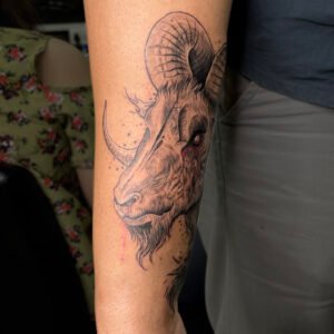 goat_01
