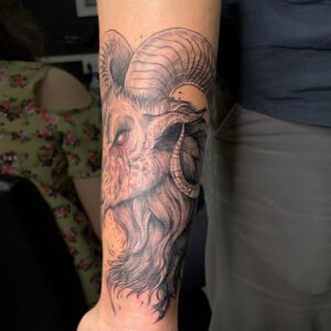 goat_03