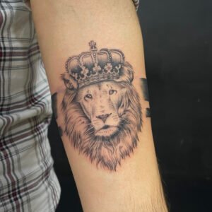 lion band