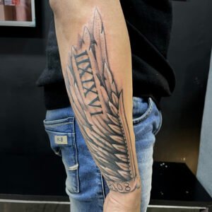 wings coverup 02